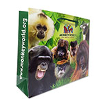 GIFT BAG MONKEY WORLD